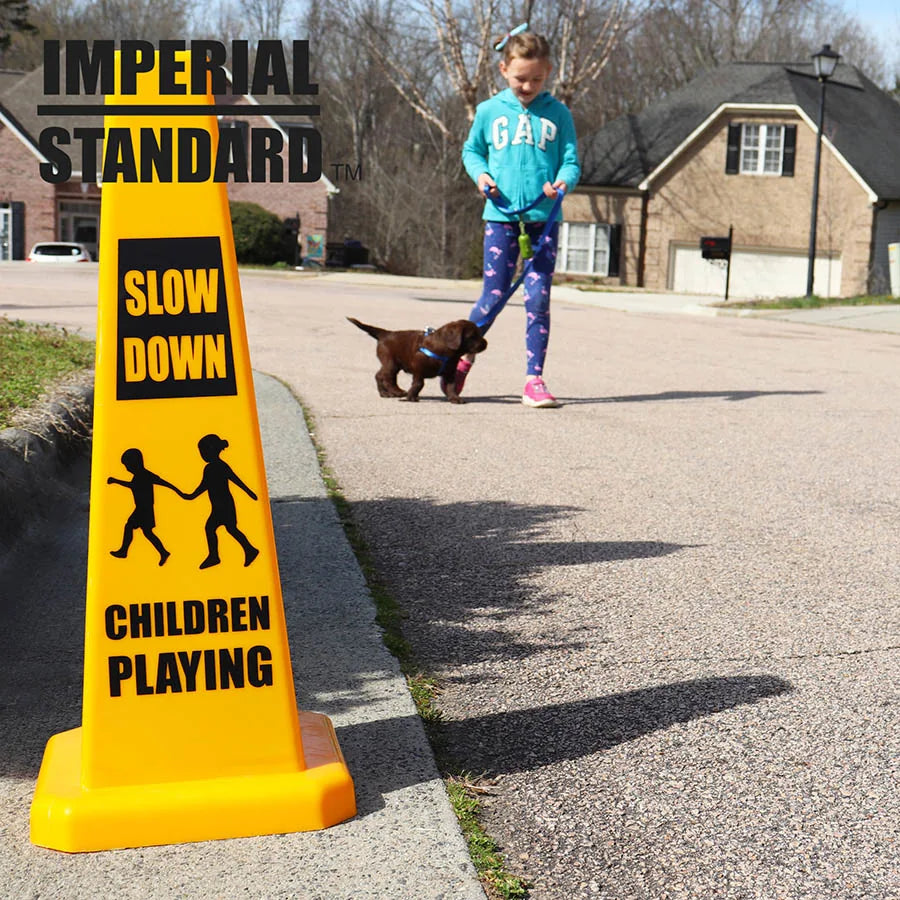 Slow Down / Children at Play Cones