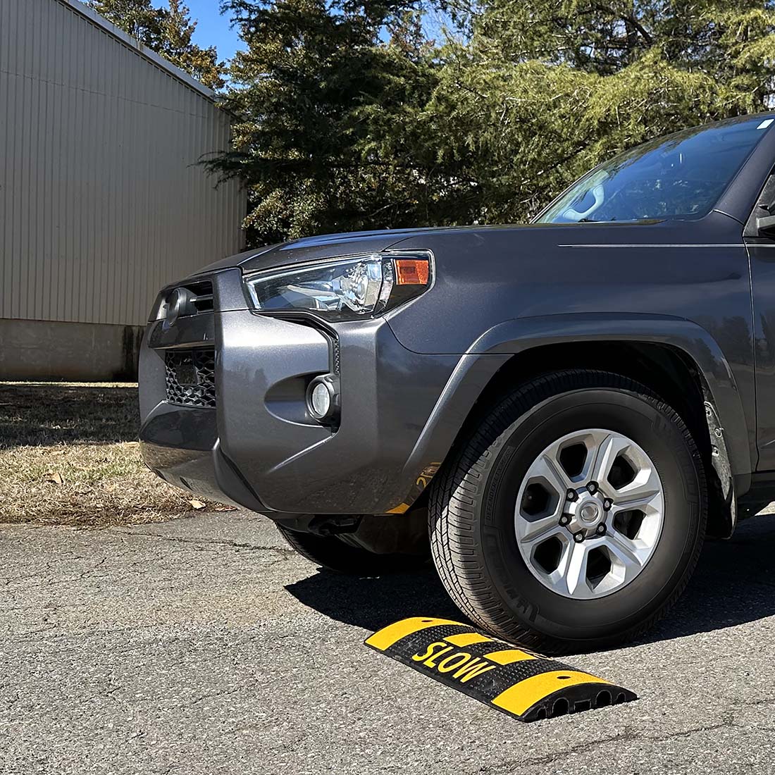 3' Speed bump